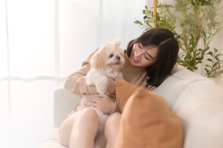 Photo 행복한 젊은 아시아 여성이 거실에서 귀여운 개와 안고 시간을 보내고 있습니다.
