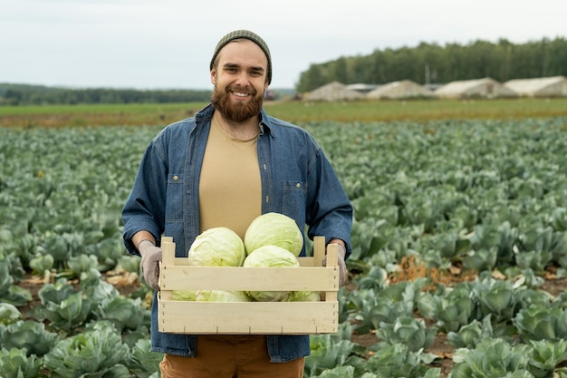 Happy young bearded man in hat and denim shirt holding crate of cabbages against large p