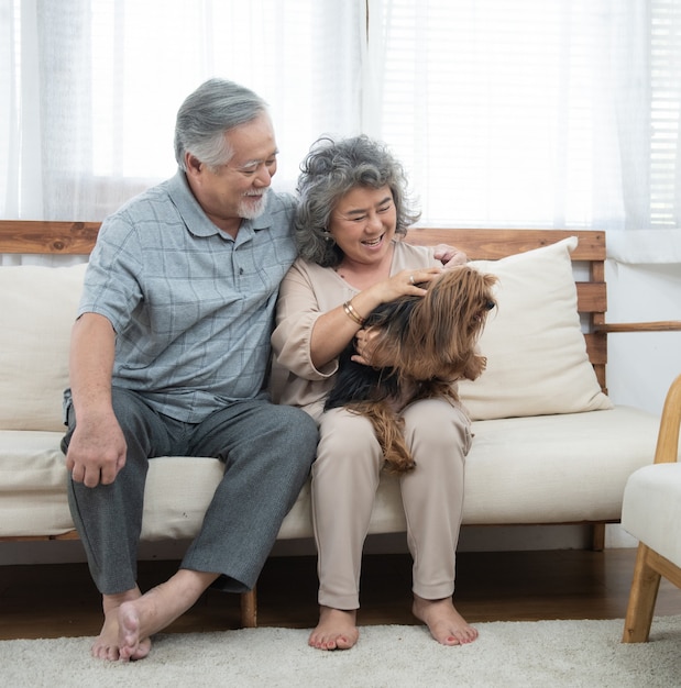 Happy young caucasian couple play with dog in home