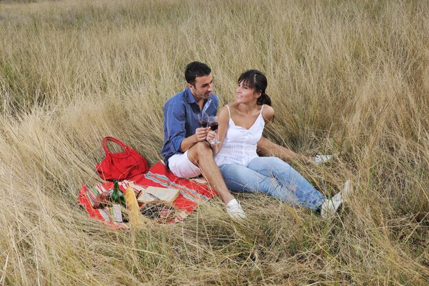 フィールドの田園地帯でピクニックを楽しんで、楽しい時間を過ごす幸せな若いカップル