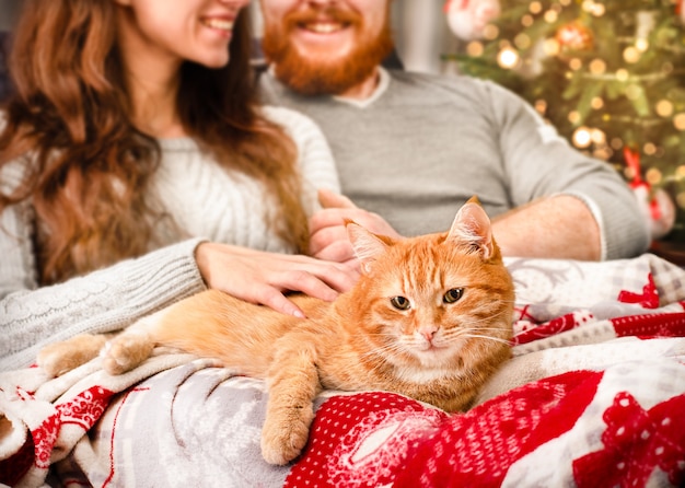 Felice coppia giovane e gatto allo zenzero sdraiato sul divano, coperto con una coperta