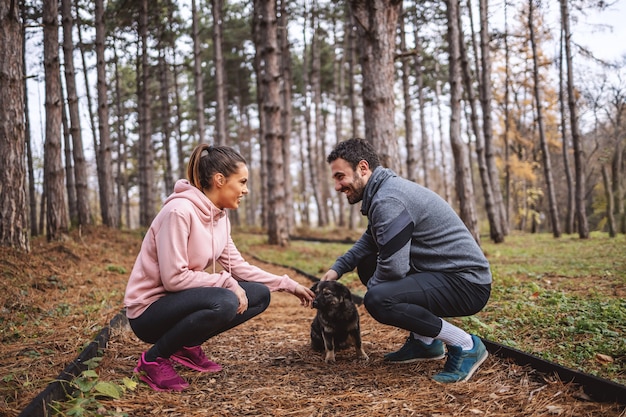 森の中の道でしゃがみ、お互いを見て、野良犬をかわいがるスポーツウェアで幸せな若いカップル。走った後に休憩。