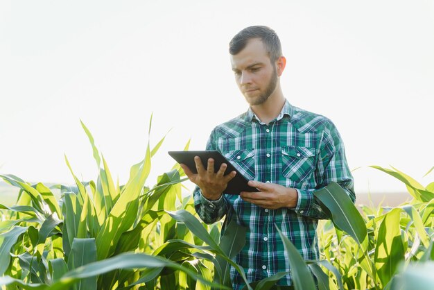 Happy young farmer or agronomist using tablet in corn field. Irrigation system in the background. Organic farming and food production