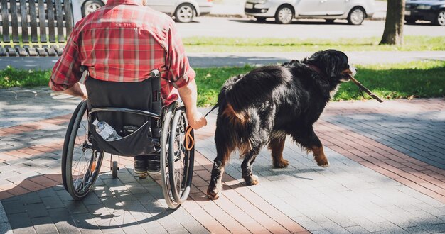 Happy young man with a physical disability in a wheelchair with\
his dog