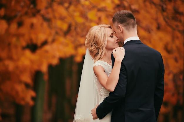 Happy young married couple in golden yellow fall autumn park