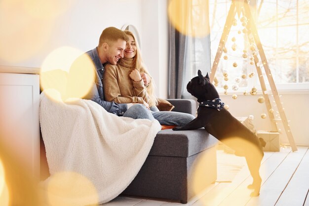 Happy young modern couple sitting on the sofa at home with christmas tree with their cute dog.