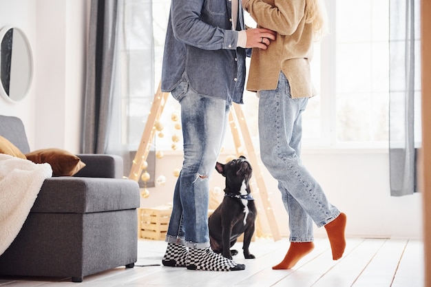 Happy young modern couple standing at home with their cute dog.