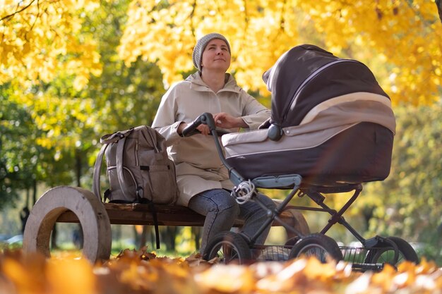 公園で自然の中を散歩中に乳母車で幸せな若い母親