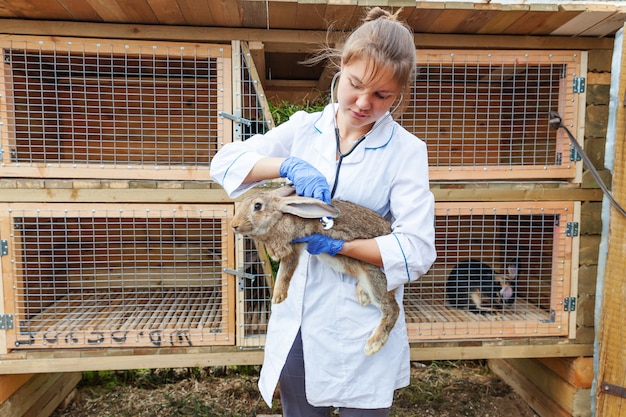 Photo happy young veterinarian woman with stethoscope holding and examining rabbit on ranch . bunny in vet hands for check up in natural eco farm. animal care and ecological farming concept.