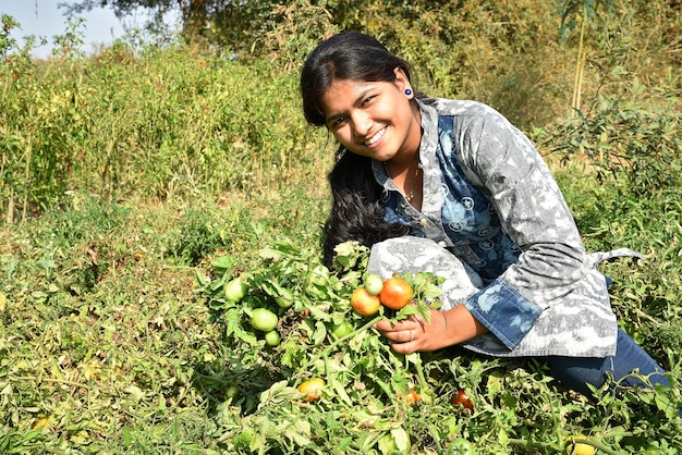 Happy young woman picking or examine fresh tomatoes in organic farm or field