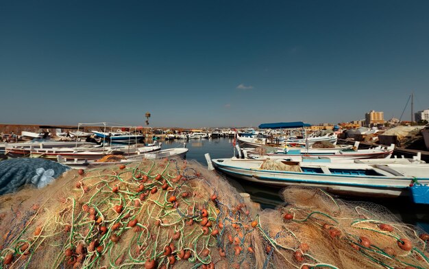 Harbor of Fishing Boats