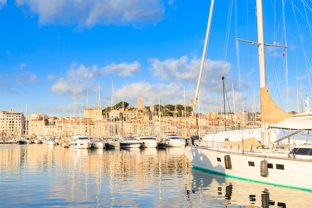 Porto e marina a cannes