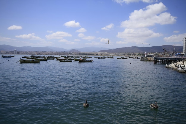 Harbour at coquimbo chile