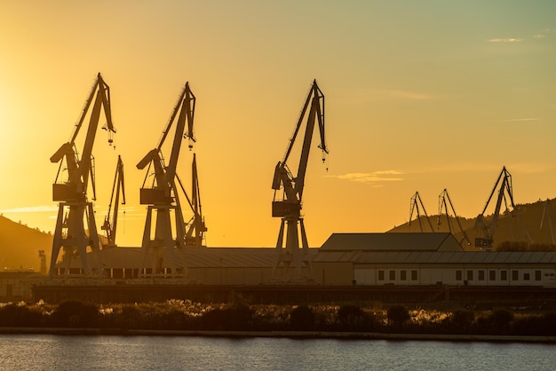 Foto gru portuali nel porto al tramonto