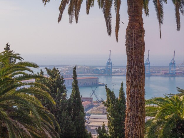 Harbour Genoa Italy