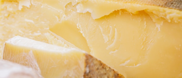 테이블에 단단한 염소 치즈. 치즈 축제 기간 동안 많은 종류의 수제 치즈가 카운터에 있습니다. 유제품 판매 개념