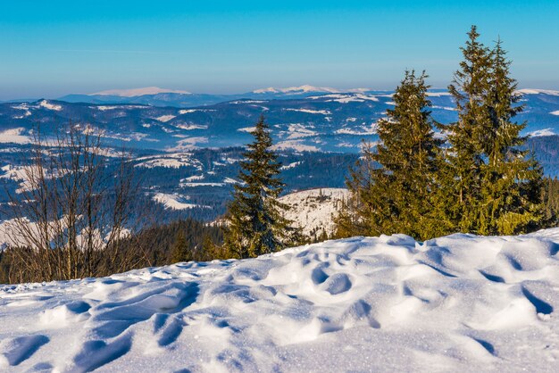 Hard winterlandschap besneeuwde sparren staan tegen een mistig bergachtig gebied op een koude winterdag