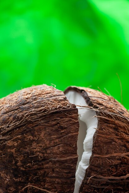 Hardly chopped coconut coconut halves on green background