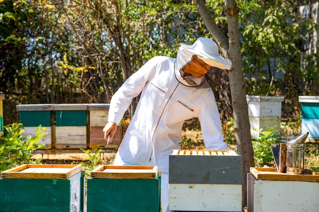 写真 勤勉な養蜂家は養蜂場で蜂の巣をチェックします。多くの蜂の巣を持つ庭で保護白い制服を着た男。