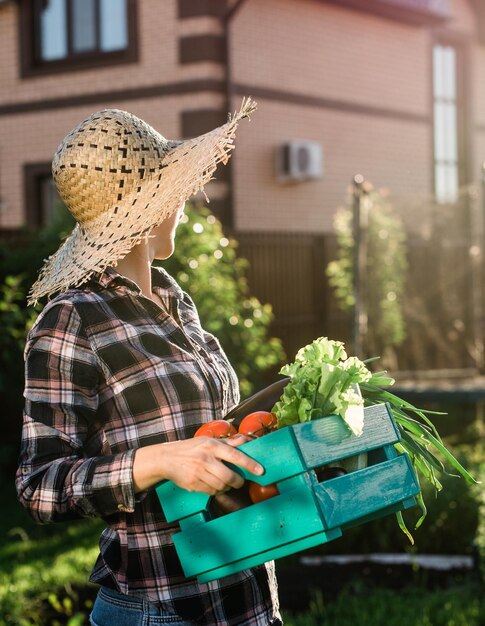 Hardworking young woman gardener in straw hat picks up her harvest box of tomatoes on sunny summer day Concept of organic farming and vegetable growing