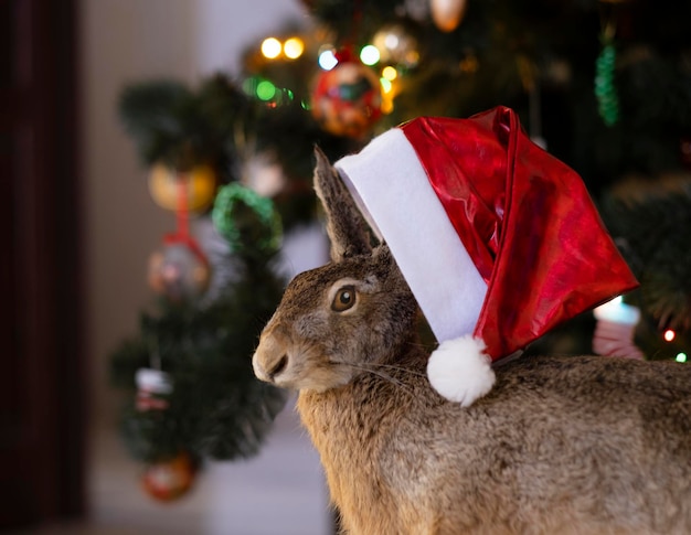 Hare in Santa's hat on the background of the Christmas tree