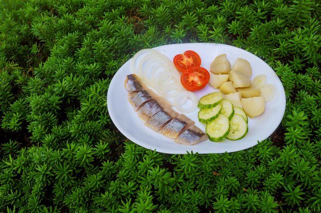 Haringsalade met groenten op wit bord bovenaanzicht aardappel-ui tomaat haring