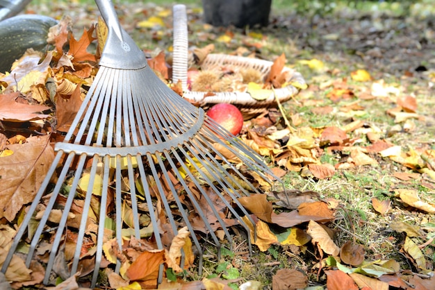 Hark in bladeren op tuin