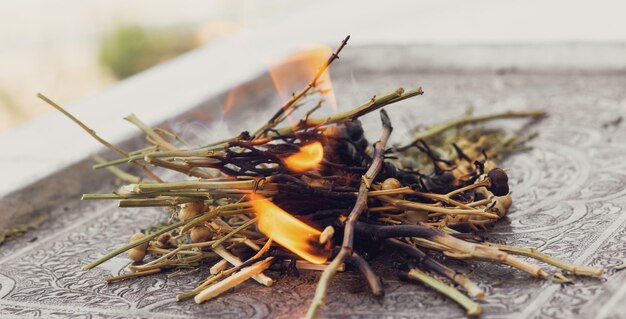 Photo harmala burning on a silver plate