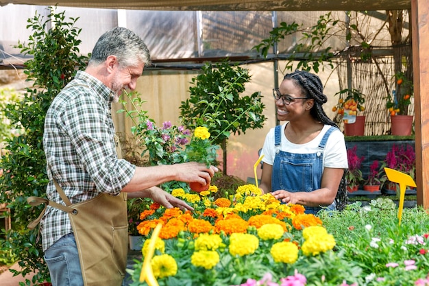 Harmonious Diversity Colorful Plants Smiling Faces in Blossoming Nursery