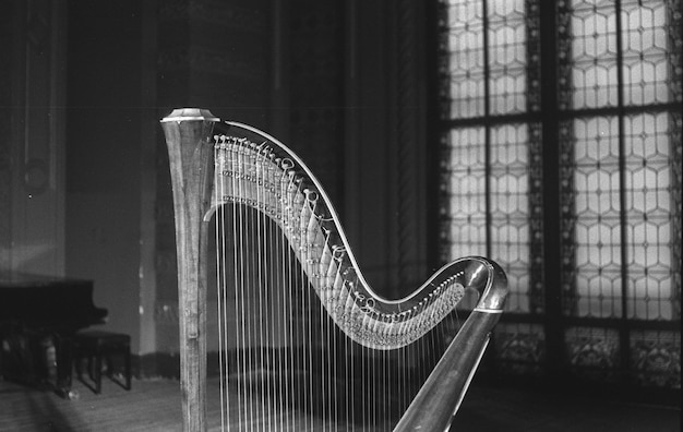 Photo harp close up