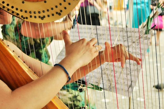 Photo harp player