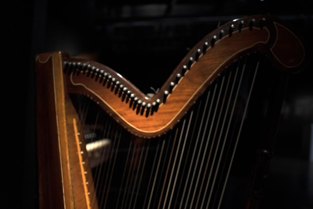 Harpsnaren detail close-up geïsoleerd op zwart