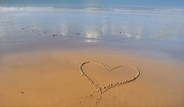 Hart dat op het zand voor overzees trekt