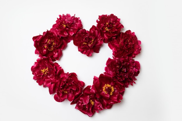 Hart frame gemaakt van rode pioenroos bloemen met kopie ruimte voor tekst op wit
