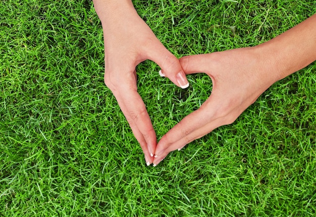 Hart groen mvo liefde bloemen verzorgingsdag