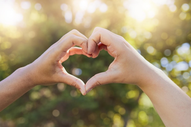 Hart liefde en handen tekenen in een park natuur en bomen bokeh zonneschijn voor aardedag buiten wellness en gezondheidszorg Ondersteuning gemeenschap en vrijwilligers handpictogram voor schone groene omgeving in de zomer