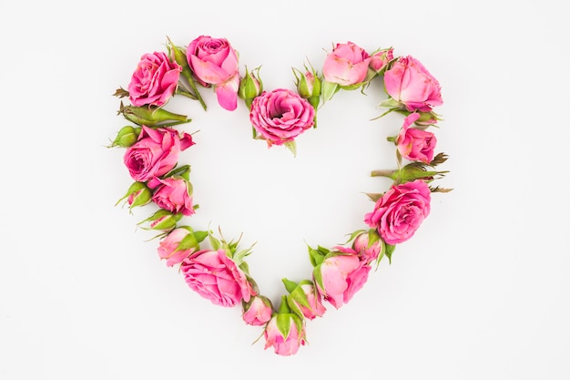 Foto hart met roze rozen op witte achtergrond wordt gemaakt die