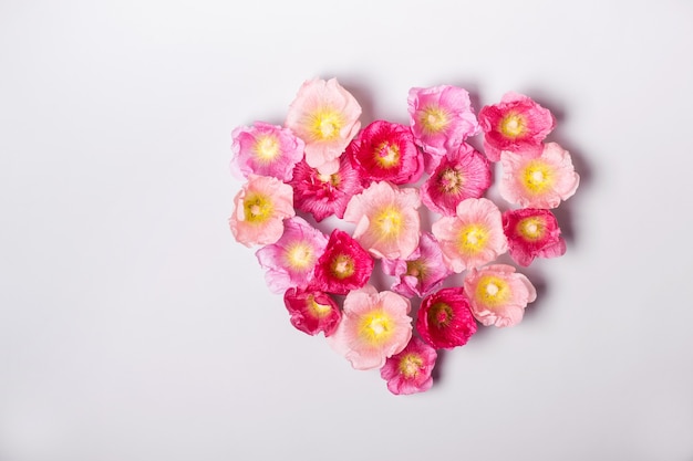 Hart van kaasjeskruid bloemen. minimalisme schoonheid, moederdag of valentijnsdag concept.