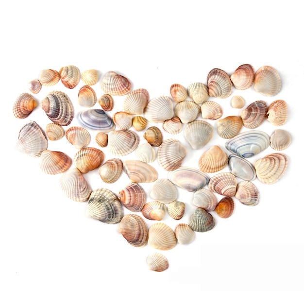 Hart voor valentijnsdag van kleur shells geïsoleerd op wit