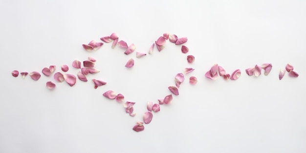 hartrozenblaadjes / roze rozen, hartvormige bloemblaadjes, liefdesconcept