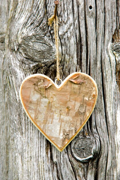 Foto hartvormige hanging op boomstam