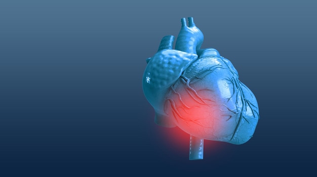 Hartziekte aanval rode stip probleem medische behandeling gezondheidszorg cardiologie ziekte ziek pijn horen