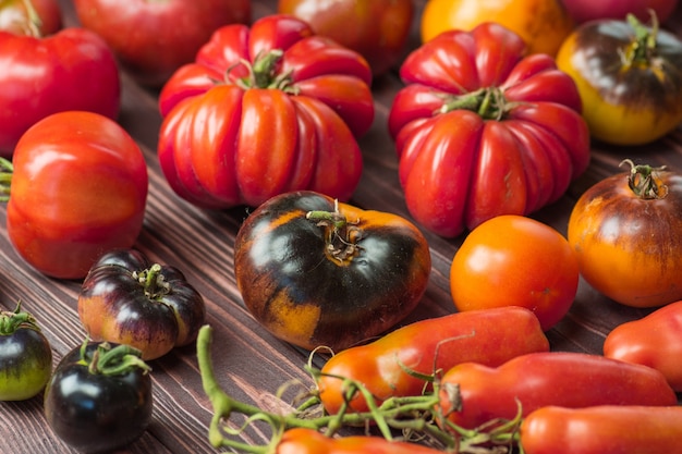 The harvest of assorted tomatoes. Beautiful ripe different varieties tomatoes. Colorful tomatoes background or texture.