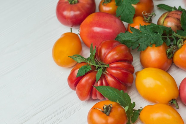 トマトの盛り合わせの収穫さまざまな完熟した天然有機おいしいさまざまなトマト