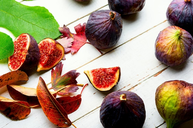 Harvest of autumn figs