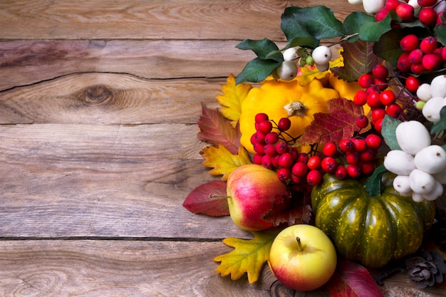 Harvest background with snowberry, green and yellow squash