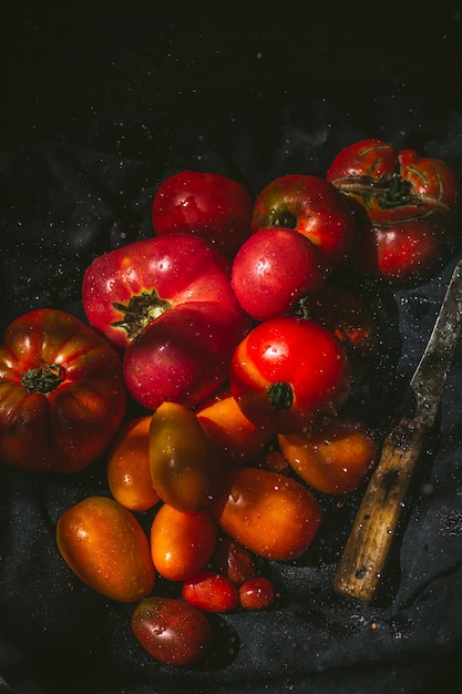 초점이 맞춰진 토마토의 일부만 다채로운 토마토 수확