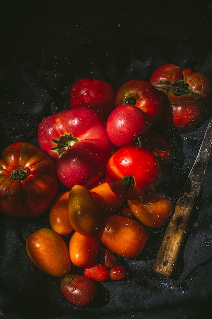 Harvest of colorful tomatoes only part of the tomatoes in focus