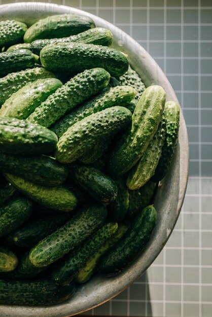 Harvest of cucumbers in a metal bowl during the day, vertical photo