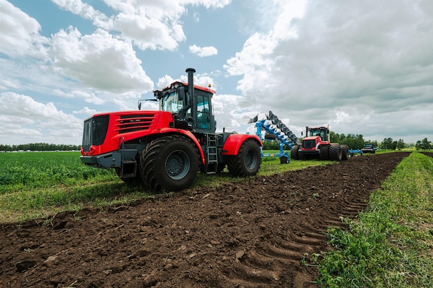 Campo di raccolta con trattore rosso modi campo di erba secca dopo il raccolto raccolta nei campi stoccarsi di fieno per l'inverno arare un campo con un trattore rojo coltivazione